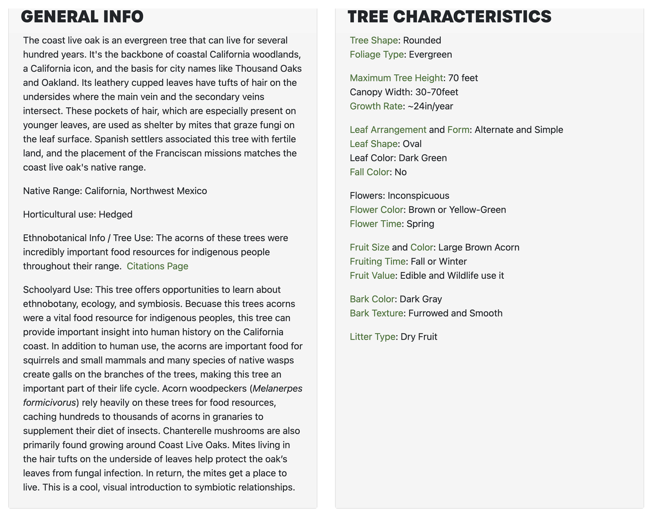 Tree information page